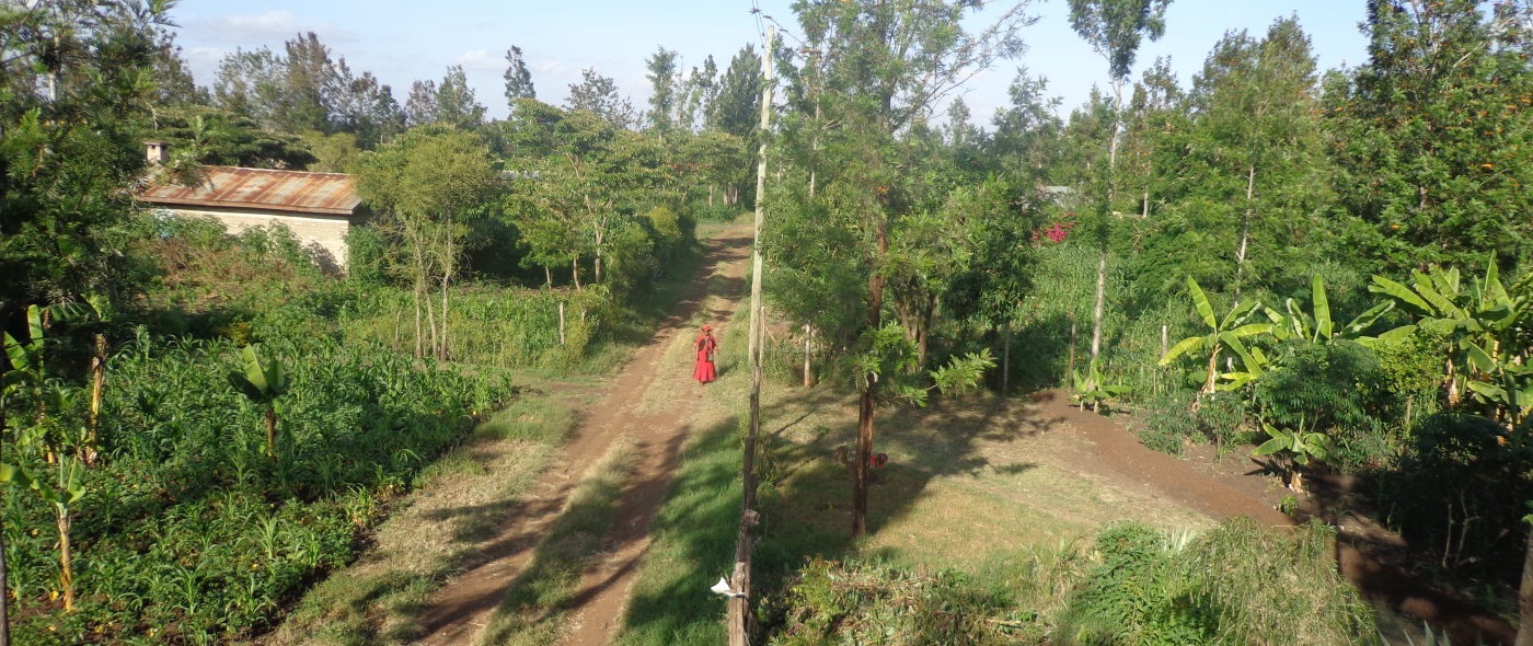 Home for the Aged in Gatanga
